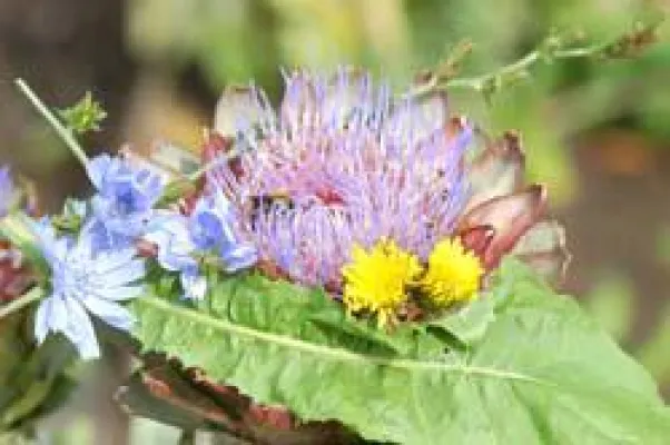 Bild: Zeitumstellung, Übergewicht und Darmflora