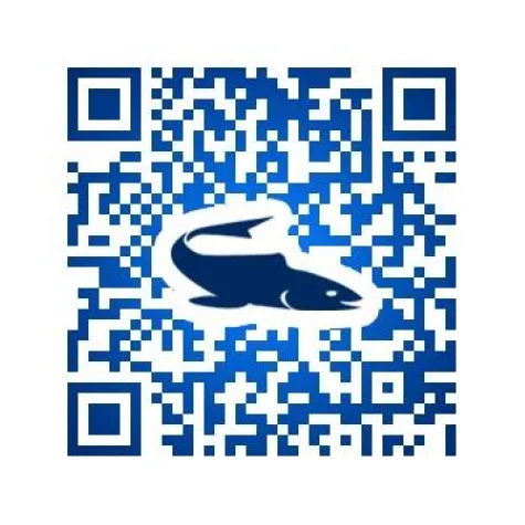 Bild: erster Ostsee Räucherfisch Makler geht Online