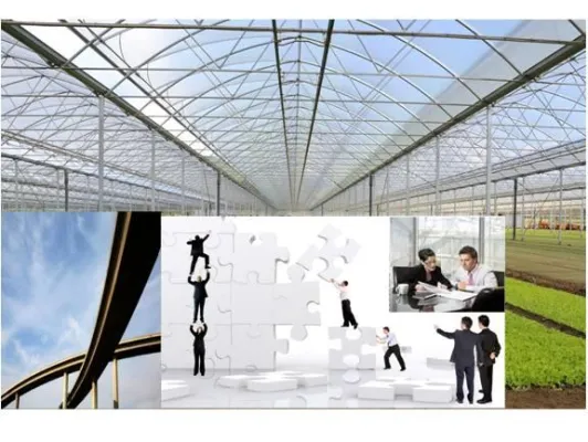 Bild: Nach der Krise das Gewächshaus für Erfolg schaffen - Tools für Innovation