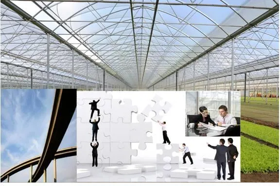 Nach der Krise das Gewächshaus für Erfolg schaffen - Tools für Innovation Bild: Nach der Krise das Gewächshaus für Erfolg schaffen - Tools für Innovation