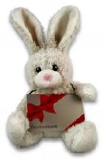 Bild: Der Osterhase bringt Gutscheine: Elektronische Gutscheine aus der Geschenkkartenwelt