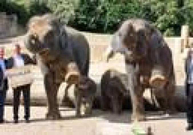 Bild: Sonniges Kerlchen im Erlebnis-Zoo Hannover