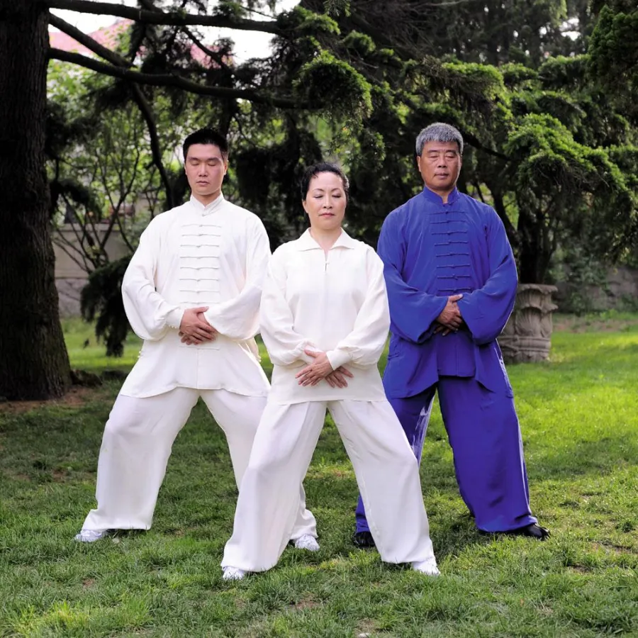 LaoShan Lebenspflege - QiGong