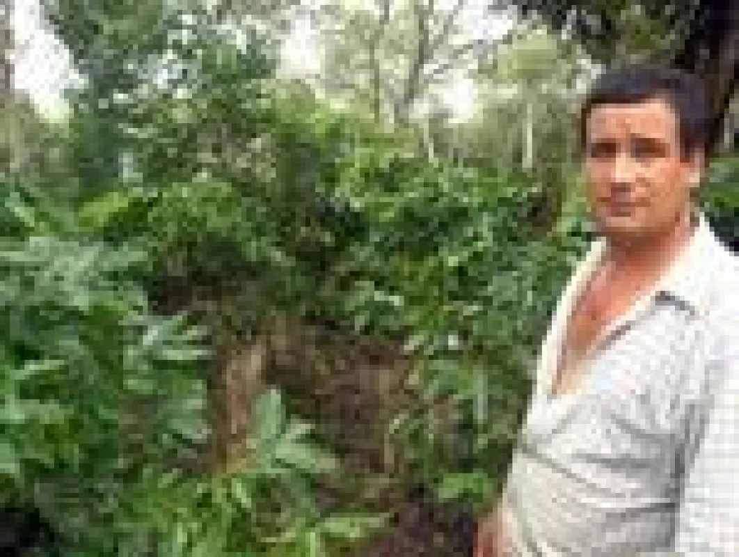 Kaffeproduzent in Santa Elena, Costa Rica