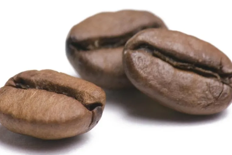 Bild: Hauptsache gut ist er - Qualität bei Kaffee wieder mehr gefragt denn je