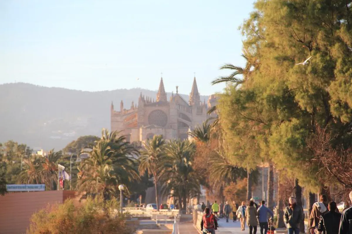 La Seu - Mallorca