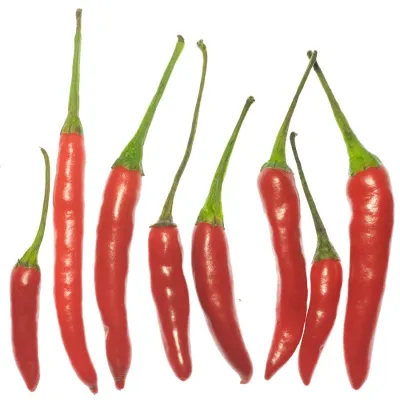 Bild: Was Fotos scharf und unscharf macht: Fotoworkshop „Knackig scharfe Fotos“ in Hannover