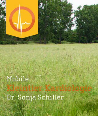 Mobile Kleintier-Kardiologie für das Rhein-Main-Gebiet Bild: Mobile Kleintier-Kardiologie für das Rhein-Main-Gebiet