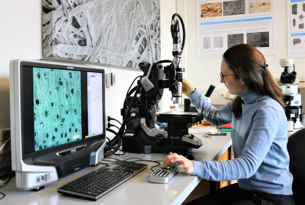 Bild: Neuer „Holzkohle-Atlas“ unterstützt bei der Umsetzung der EU-Entwaldungsverordnung