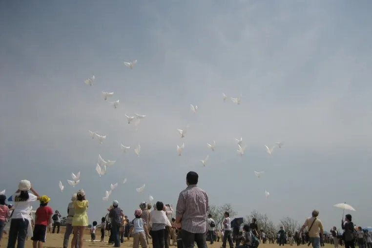 Bild: Skybirds erobern den Hochzeitshimmel - Hochzeit 2010 - Grüne Hochzeit