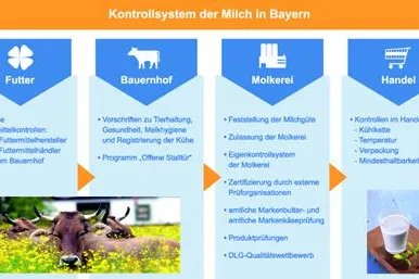 Bild: Von der Kuh bis ins Kühlregal: Wer garantiert die Milchqualität?