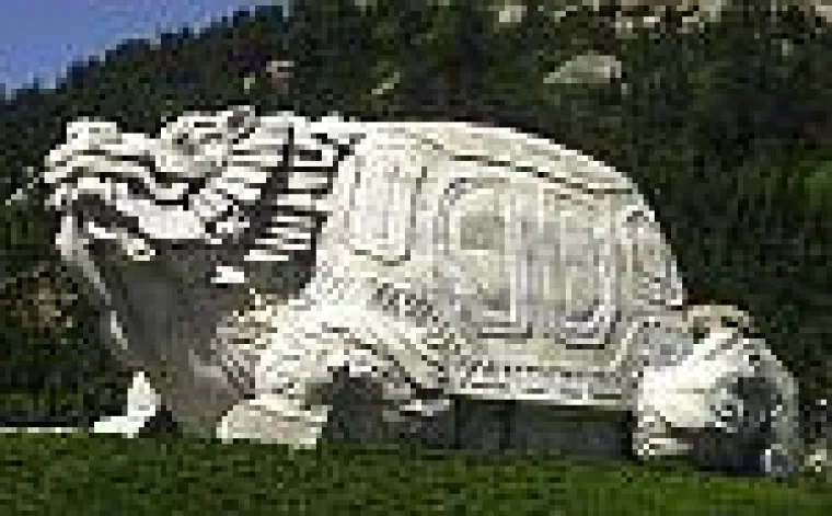 Bild: Prävention im Zeichen des Drachen