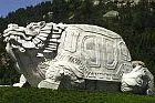 Bild: Prävention im Zeichen des Drachen
