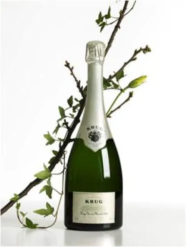 Belvini.de präsentiert 1998er Krug Clos du Mesnil - die Ausnahme Bild: Belvini.de präsentiert 1998er Krug Clos du Mesnil - die Ausnahme