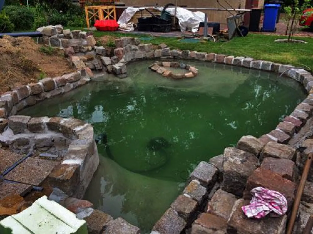 Gartenteich für Wasserschildkröten