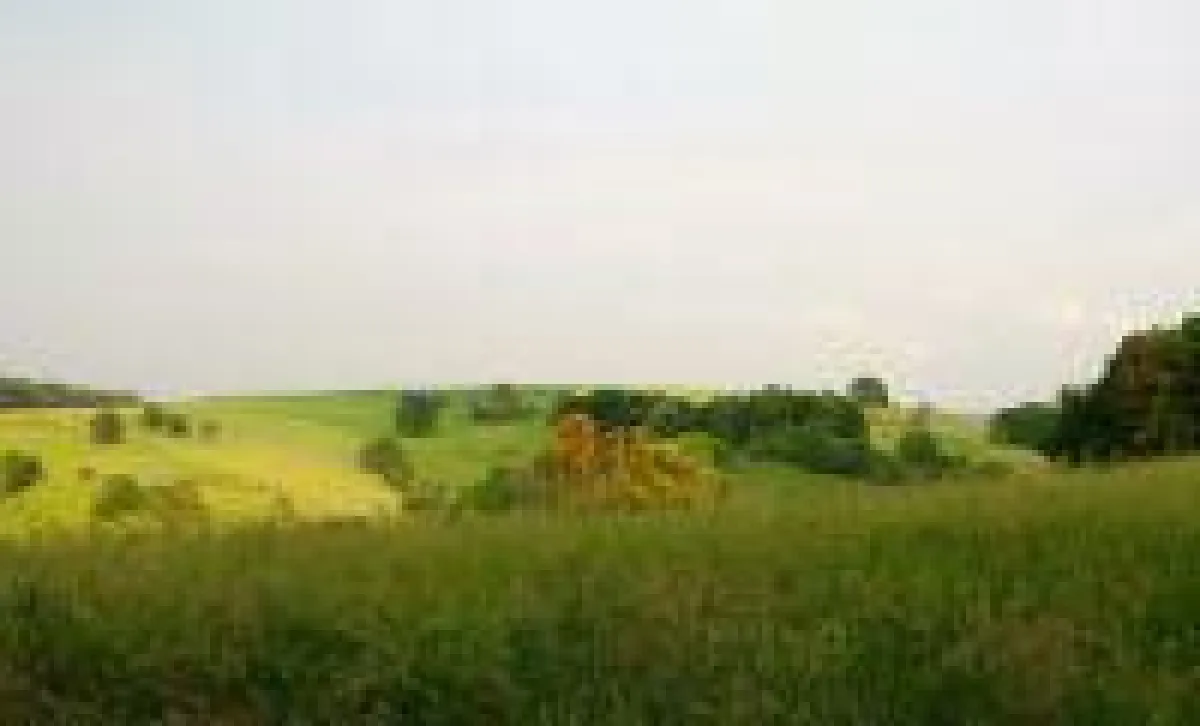 Sommerliche Landschaft. Aber Sommerhitze kann Daten killen!