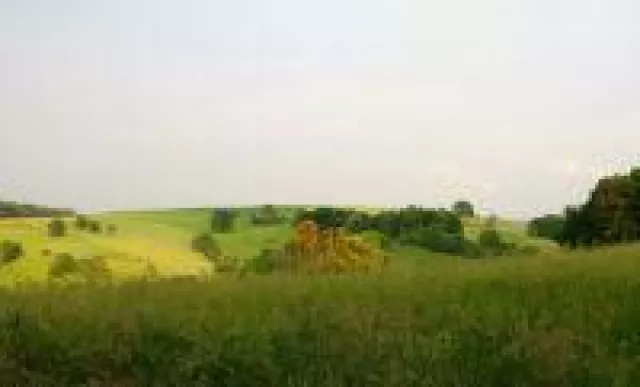 Sommerhitze kann Daten killen Bild: Sommerhitze kann Daten killen