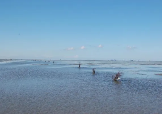 Gesunde Auszeit am Meer Bild: Gesunde Auszeit am Meer