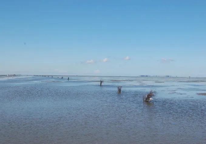 Bild: Gesunde Auszeit am Meer