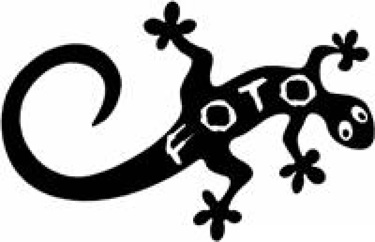 fotosalamander
