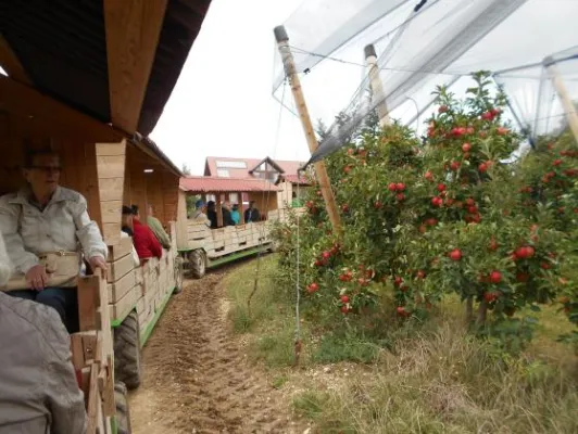 Bild: Mit dem Apfelzügle durchs Ländle