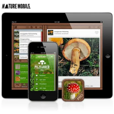 Bild: App in den Wald - Mit dem iPhone© zum Pilze sammeln
