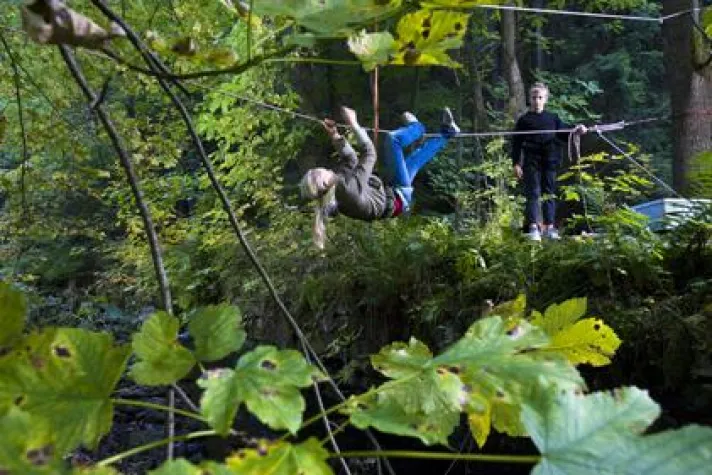 Bild: Naturerlebnis am Grünen Band - Brücken bauen und Grenzen überwinden