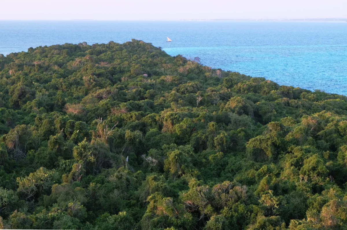 Naturparadies Chumbe Island