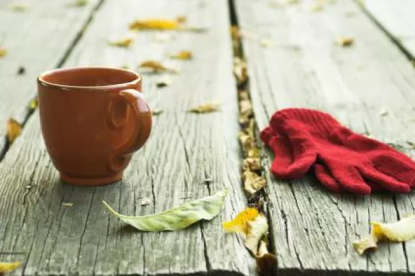 Bild: So riecht der Herbst