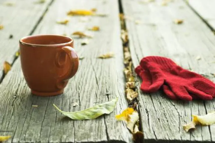 Bild: So riecht der Herbst