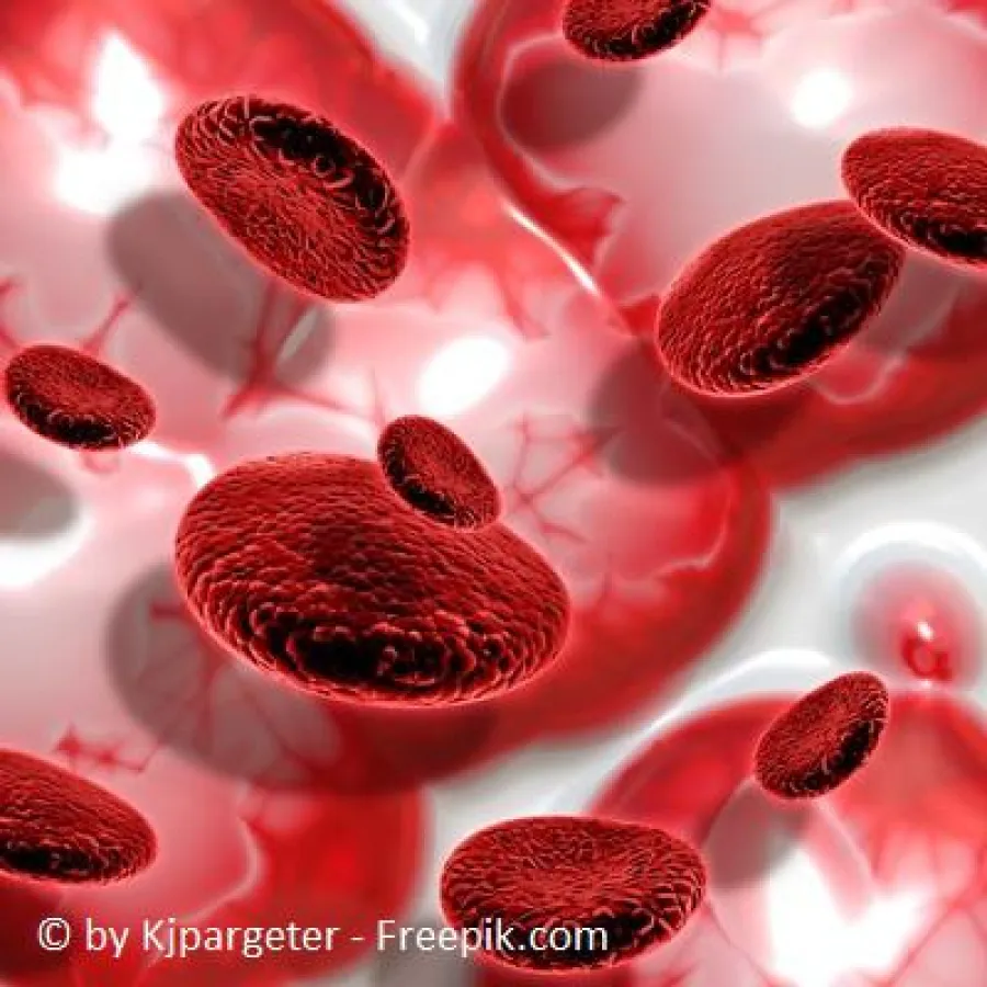 Haarwachstum mit Eigenblut anregen