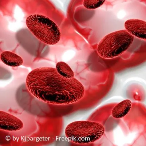 S-thetic Hair: Blut für Haarwurzeln Bild: S-thetic Hair: Blut für Haarwurzeln