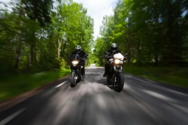Bild: Zusammenstoß mit Tieren im Zusammenhang mit der Motorradversicherung
