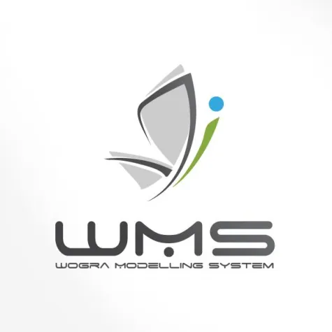 Was ist eigentlich WMS? Und was hat das mit meinem Unternehmen zu tun? Bild: Was ist eigentlich WMS? Und was hat das mit meinem Unternehmen zu tun?