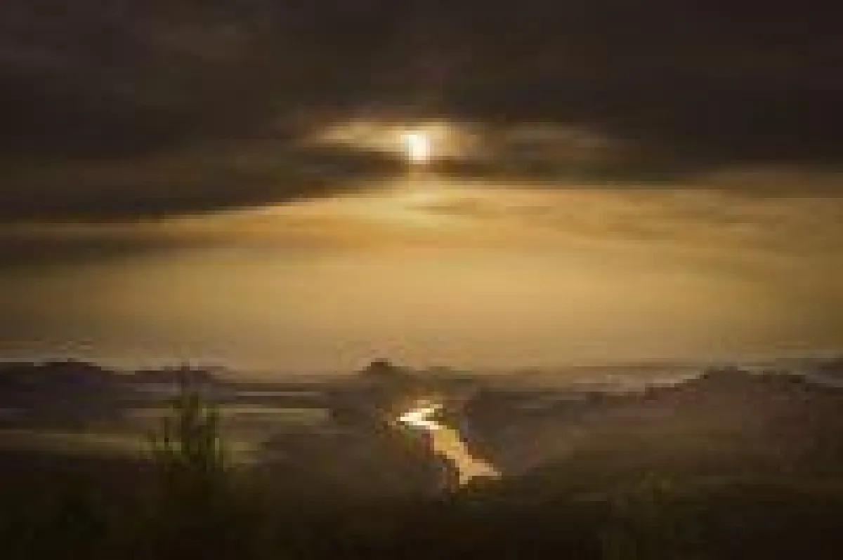 Blick über die Elbe