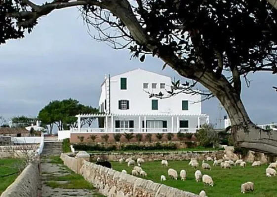 Bild: Tierhilfe mit fincas&mehr! Eine Reiseagentur mit großem Herz.