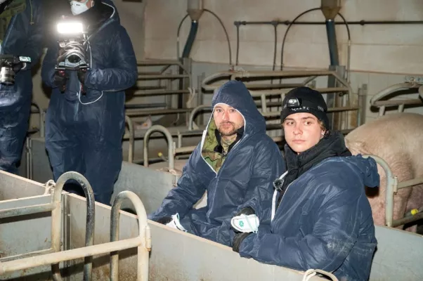 Bild: ANINOVA und YouTuber Jonas Ems decken Tierquälerei in "Tierwohl" Schweinestall auf