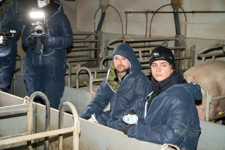 ANINOVA und YouTuber Jonas Ems decken Tierquälerei in "Tierwohl" Schweinestall auf Bild: ANINOVA und YouTuber Jonas Ems decken Tierquälerei in "Tierwohl" Schweinestall auf