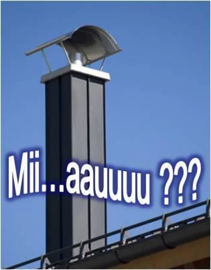 Blechdach mit oder ohne Katze, in jedem Fall exklusiv und günstig - jetzt bei www.dach-guenstig.de