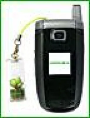 Bild: Blumen für Dein Handy