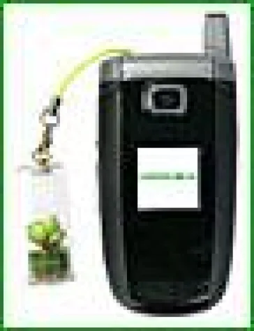 Bild: Blumen für Dein Handy