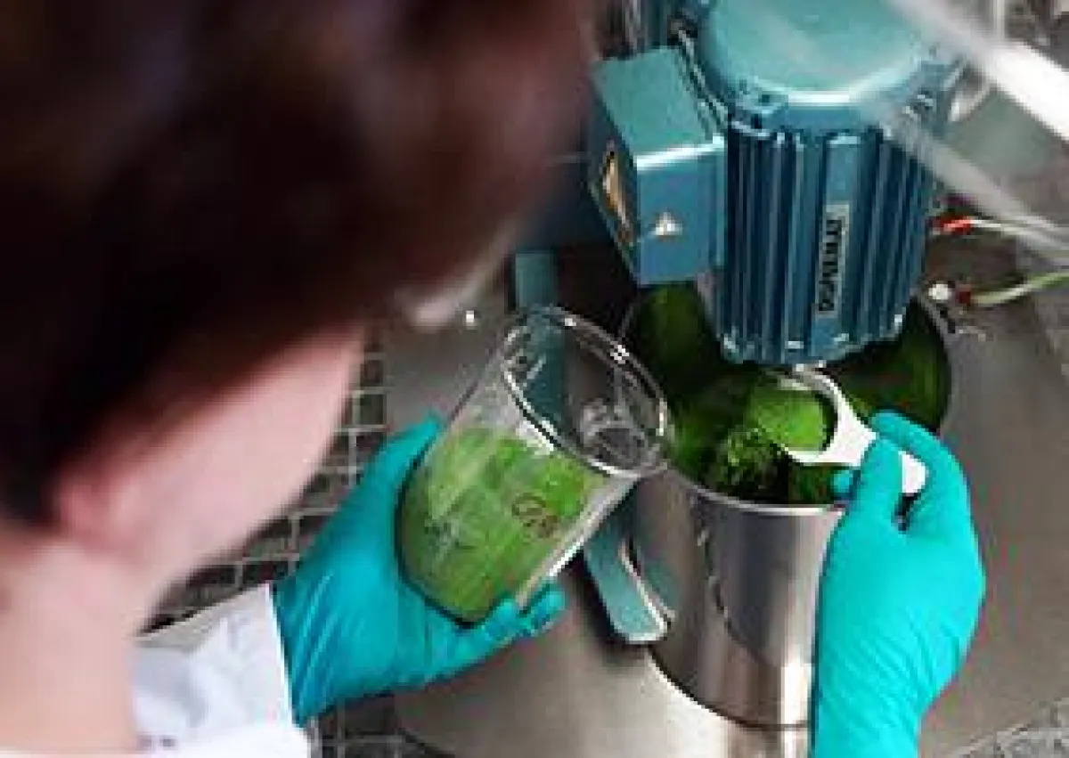 Thin high-performance coatings by thermal spraying of suspensions developed at Fraunhofer IKTS. ()