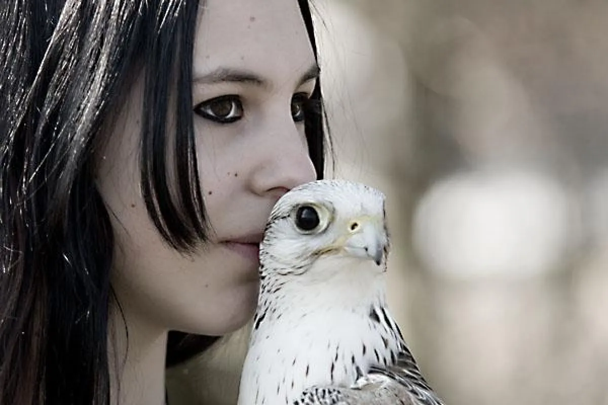 FineArt Portrait mit Greifvogel