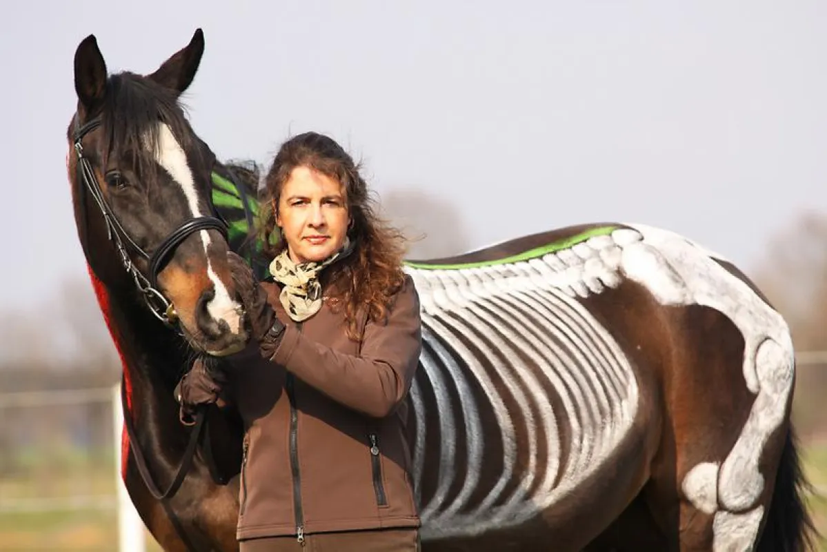 Institutsleiterin Karin Kattwinkel demonstriert, wie der Pferdekörper funktioniert