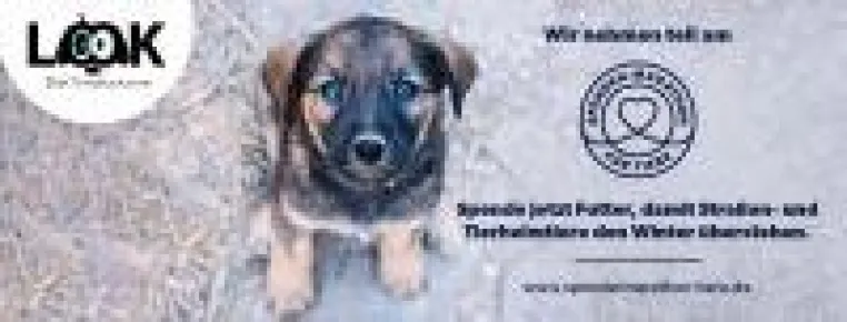 Bild: Spenden-Marathon für Tiere: Look Tierschutzverein aus Hamburg braucht Unterstützung