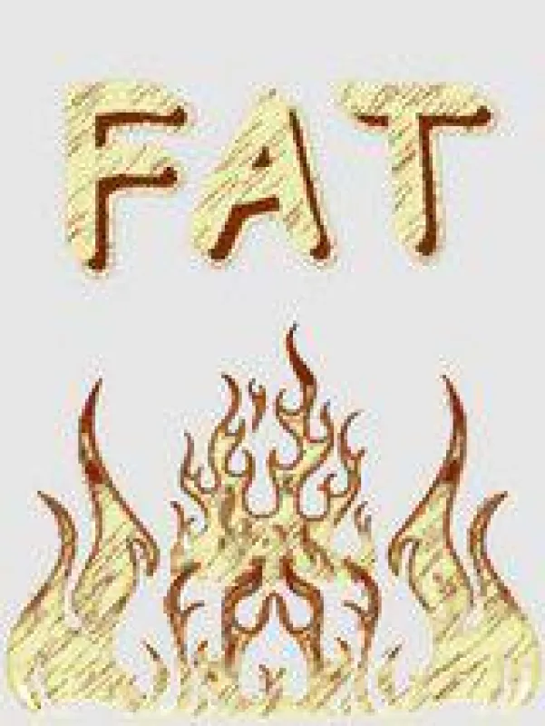 Fatburner / Fettverbrennung - Was wirklich hilft