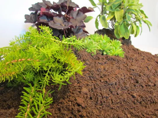 Bild: Kurze Wege, viele Vorteile: tegra-Spezialbaustoffe mit regionalen Rohstoffen