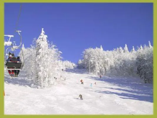 Bild: Urlaub mit Hund in Bayern Schneeschuhwandern im Winterurlaub