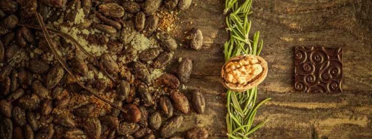 Bild: CACHAO Raw Chocolate - Geschmack für die Ewigkeit