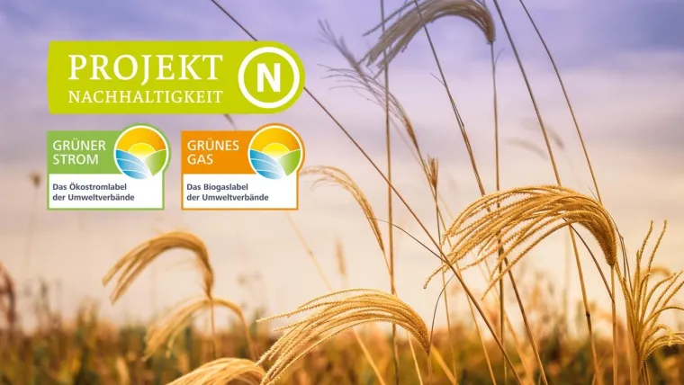 Bild: Nachhaltig überzeugt: Grüner Strom Label e.V. erhält Auszeichnung